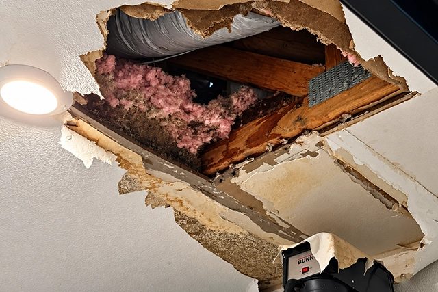 Comprehensive Damage Restoration in Elk Grove, CA