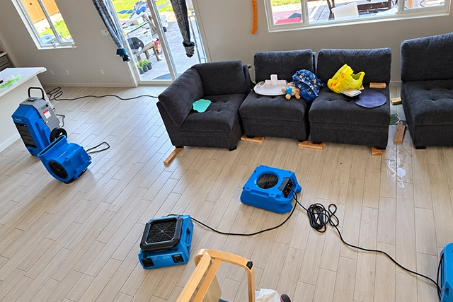 Comprehensive Damage Restoration in Elk Grove, CA