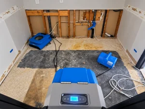 What to Do After Water Damage A Property Owner’s